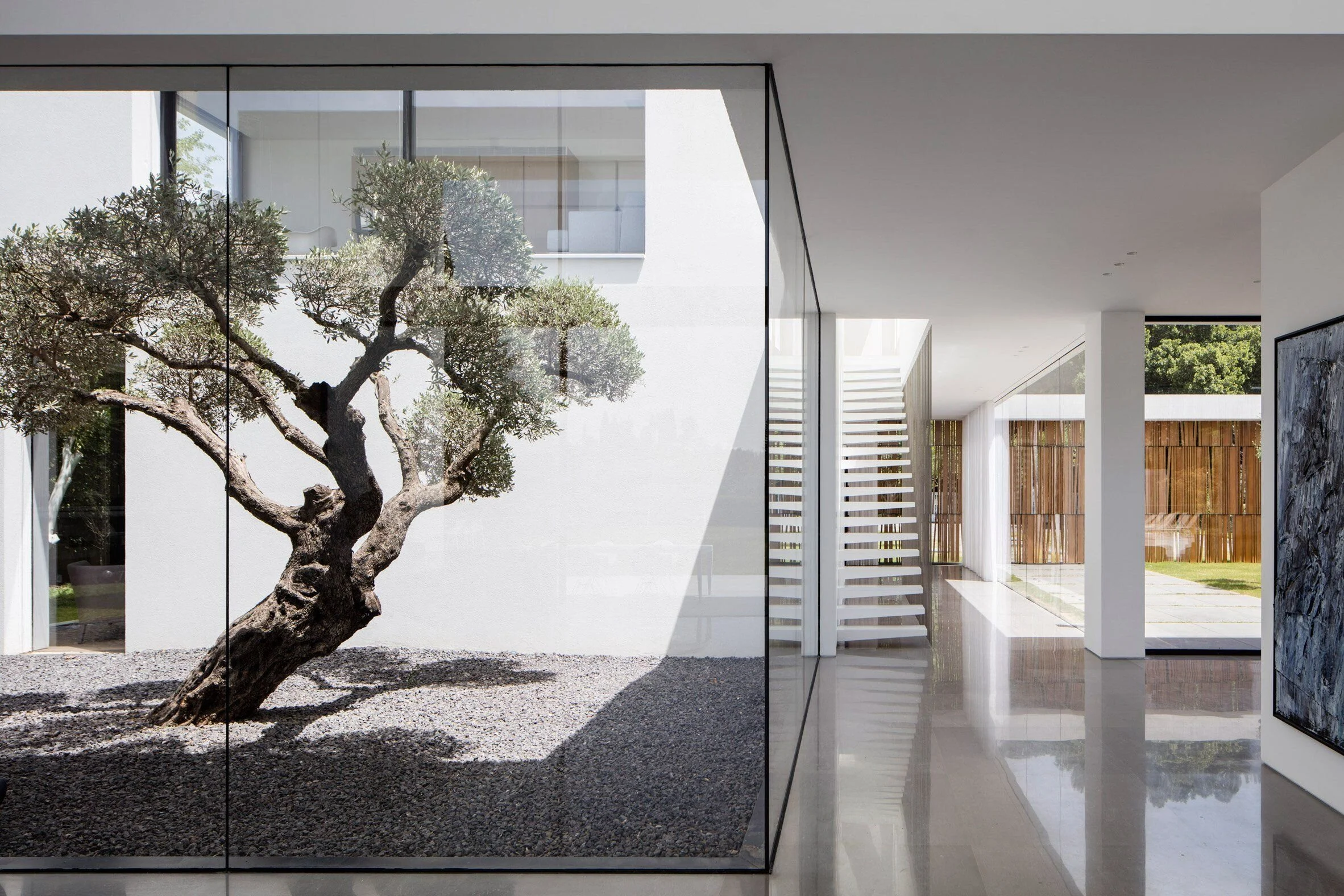 Contemporary villa interior with an olive tree behind glass